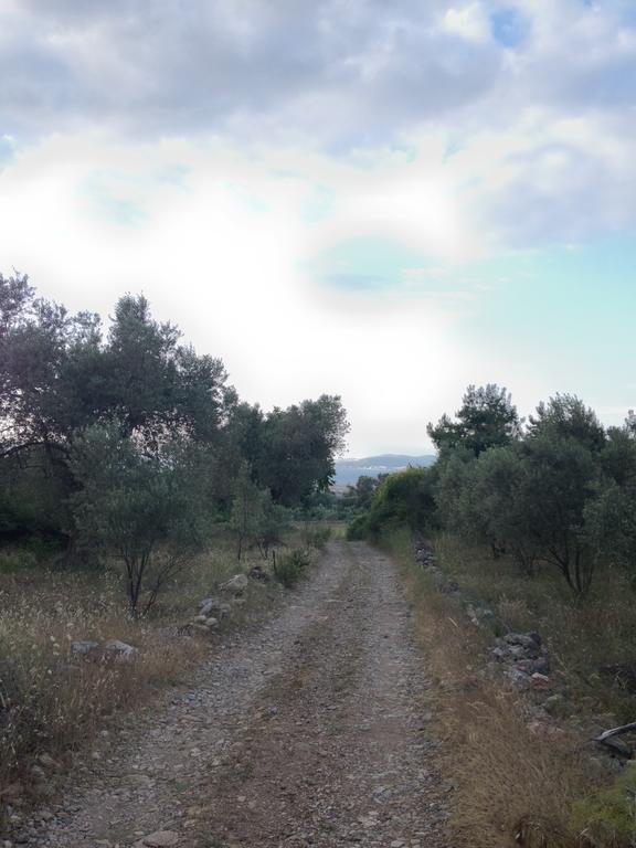 Doa Apartments Kuşadası Dış mekan fotoğraf